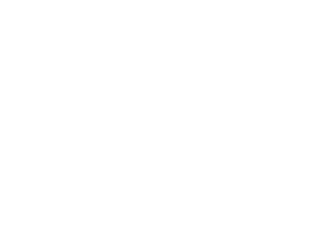 Nulsen