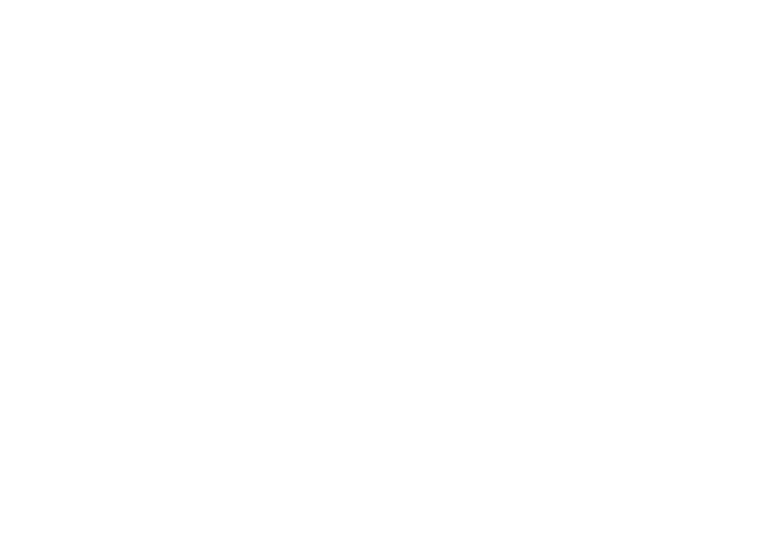 Settlement Services International